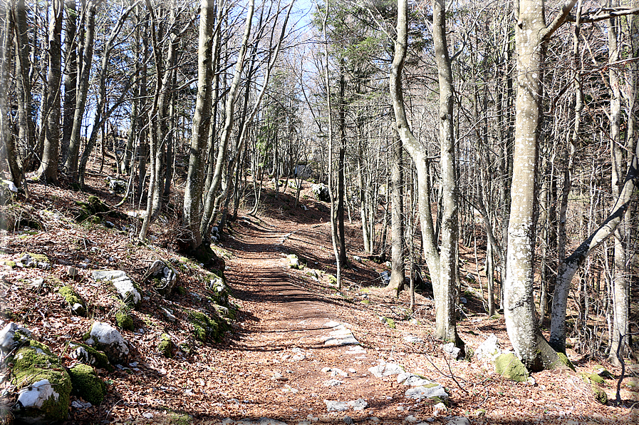 foto Monte Cengio